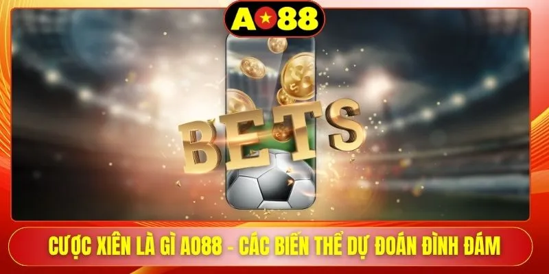 cuoc xien la gi ao88 cac bien the du doan dinh dam