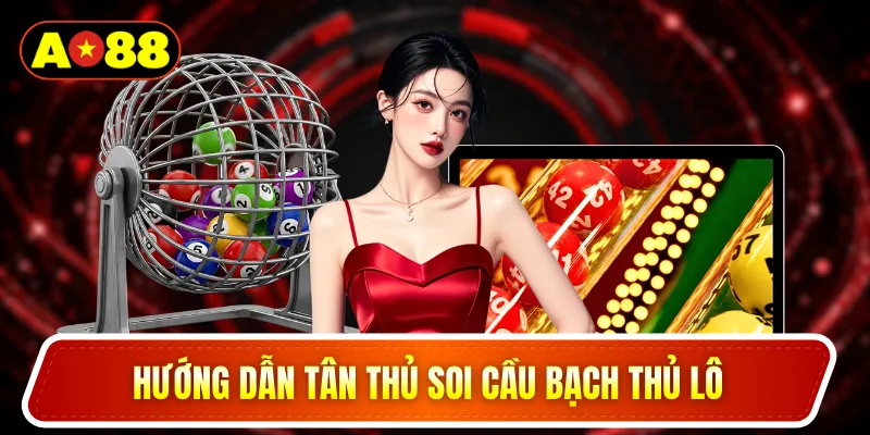Hướng dẫn tân thủ soi cầu bạch thủ lô