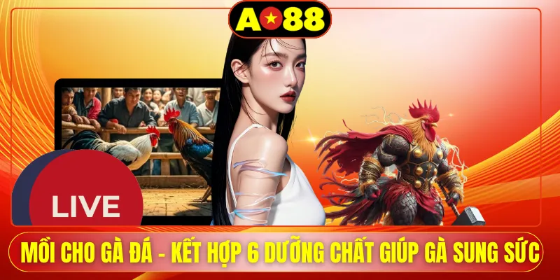 moi cho ga da ket hop 6 duong chat giup ga sung suc